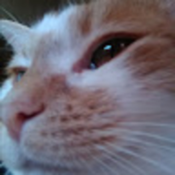 Meet your Posher, Debbie - Picture 1 of 1